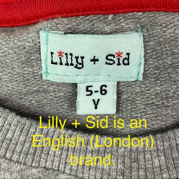 Lot of boys clothes GAP, Gymboree, Carter’s SHARK Shirts, Lilly + Sid Sweatshirt - Picture 12 of 16